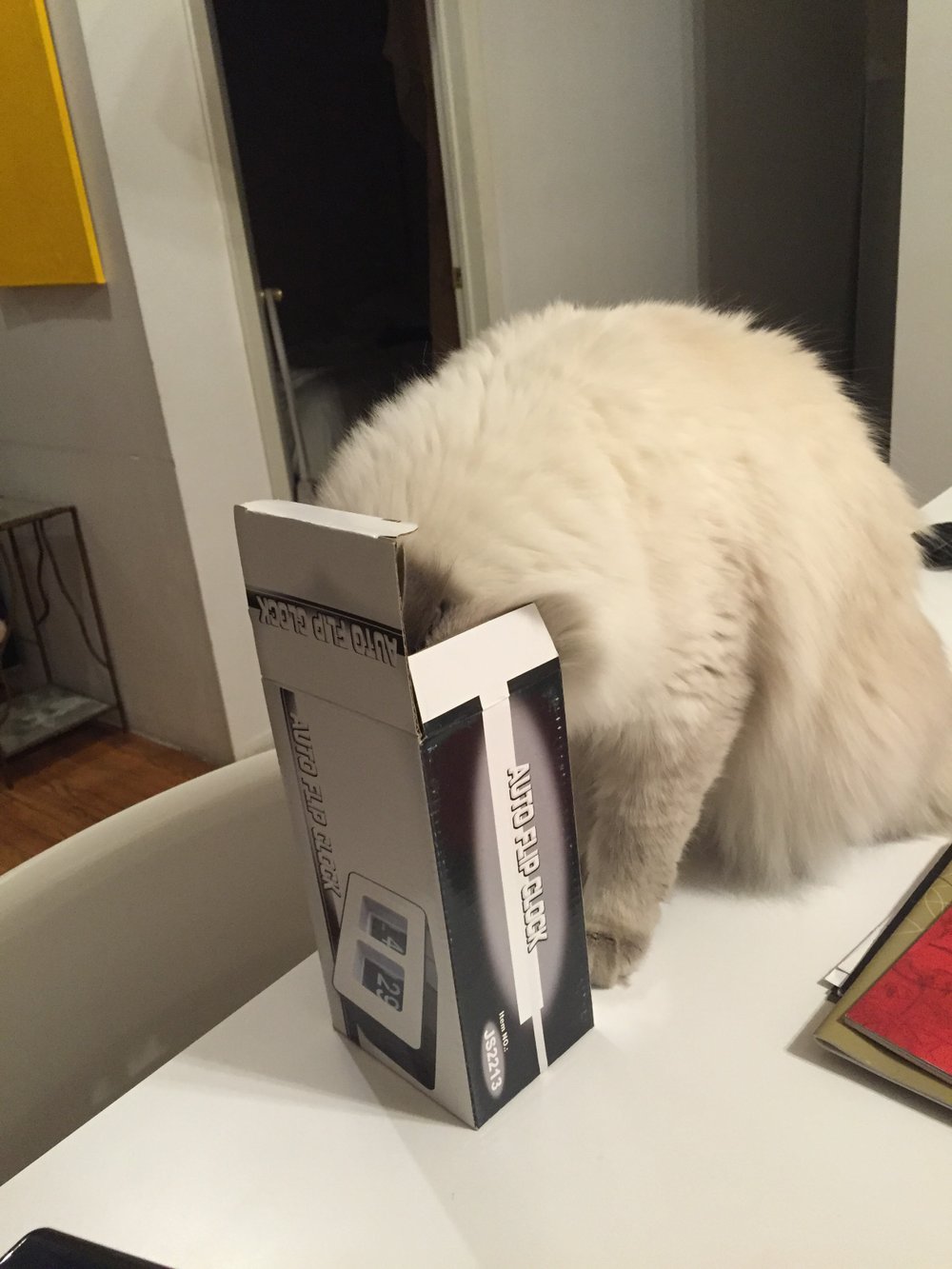  Will I fits? 
